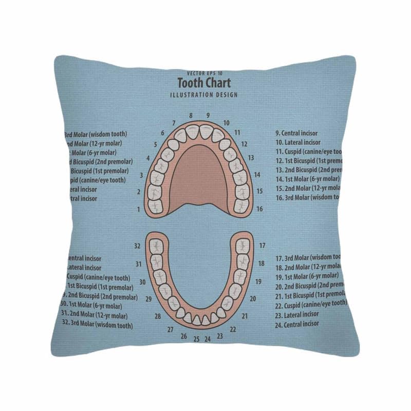 Image of Throw Pillow Covers Pink Education Tooth Chart Number Infographic on Blue Dental Human Anatomy Pillow Case 18x18 Inch Cushion Cover for Home Party