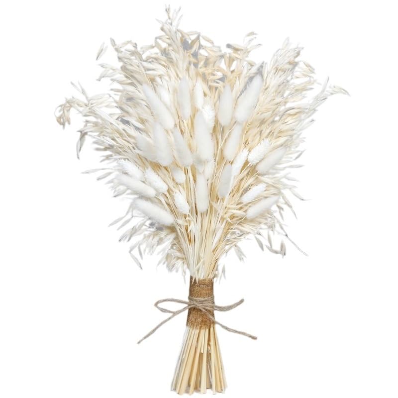 Hierba Pampas Secas Natural Grande 35-45cm Decoración miniatura 1