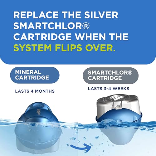 Image of FROG @Ease Floating System for Swim Spas - Quick & Easy Self-Regulating Swim Spa Sanitizer - Swim Spa Maintenance System with Sanitizing Minerals & SmartChlor Technology - 8 Month Bundle+