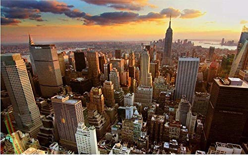 Papier peint 3d paysage New York pour masquer un mur abîmé - 6