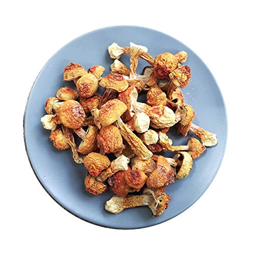 Matsutake essiccato, Agaricus Blazei, fungo Yunnan, 200 g