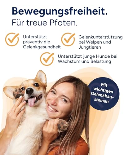 NutriLabs Glukosaminol® Kleintier Gelenkpulver für Hunde-Welpen 150 g - mit MSM, Artischocke, Glucosamin, UVM. - Hundewelpen Nahrungsergänzungsmittel - Gelenkgesundheit Welpen