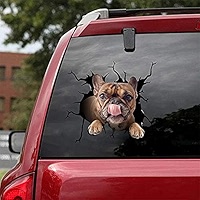 Jack Russell Ocean Gift Boston Terrier Car Decals, Dog Car Boston Terrier Socks