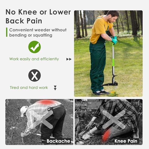 ORIENTOOLS Weeder Tool Weed Puller with Stainless 4 Claws and Foot Pedal, Dandelions Root Remover, Stand Up Lawn Garden Tool steel handle(39.4 inch/100cm) 6 ORIENTOOLS Weeder Tool Weed Puller with Stainless 4 Claws and Foot Pedal, Dandelions Root Remover, Stand Up Lawn Garden Tool steel handle(39.4 inch/100cm) - Image 6