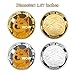 KANGHE 2pcs Dogecoin Coin Collection, Doggie Virtual Coin, Shiba Inu Coin Gold-Plated and Silver-Plated Commemorative Ccoin