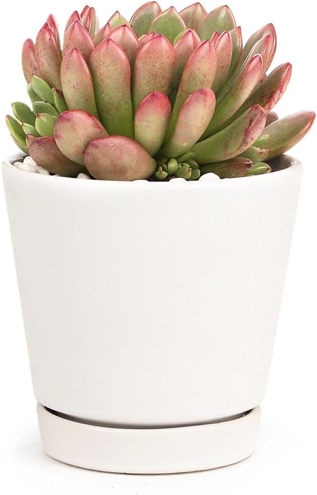 4 inch White Minimalist Planter with Saucer - Planter for Houseplant - Modern Ceramic Planter - Planter for Home Decoration