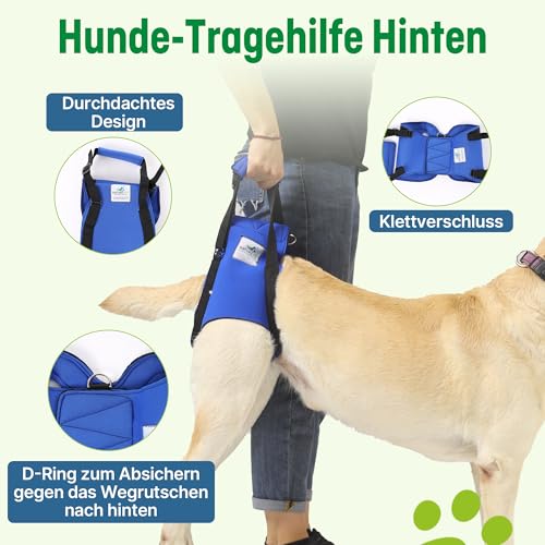Nature Pet © - Tragehilfe Hund hinten - Verstellbarer Hunde Tragegurt als Treppenhilfe - Ideal für ältere, kranke oder operierte Vierbeiner - Praktische Unterstützung für Mobilität (M, Blau)