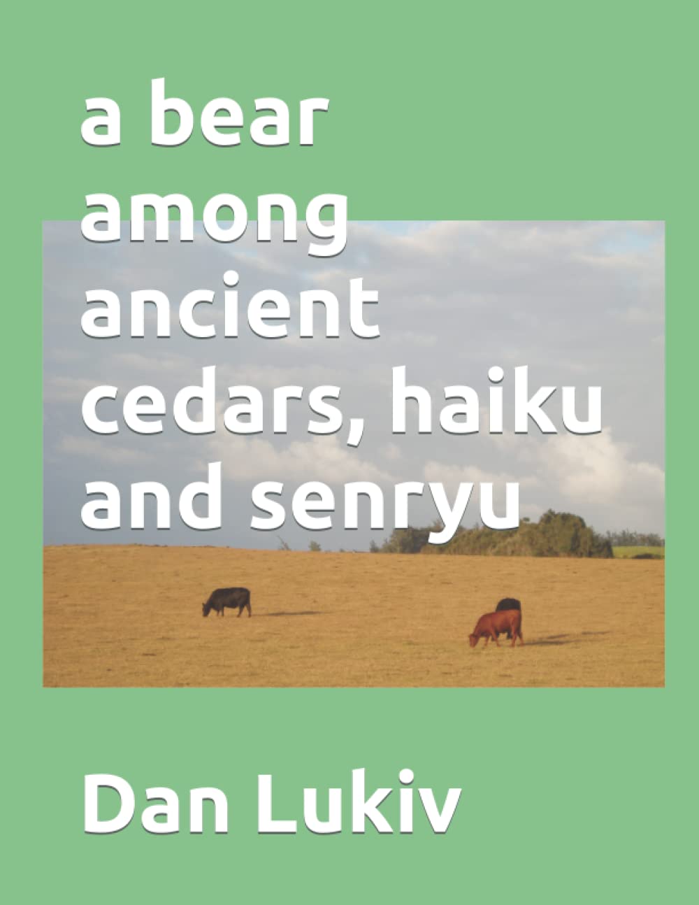 A bear among ancient cedars, haiku and senryu