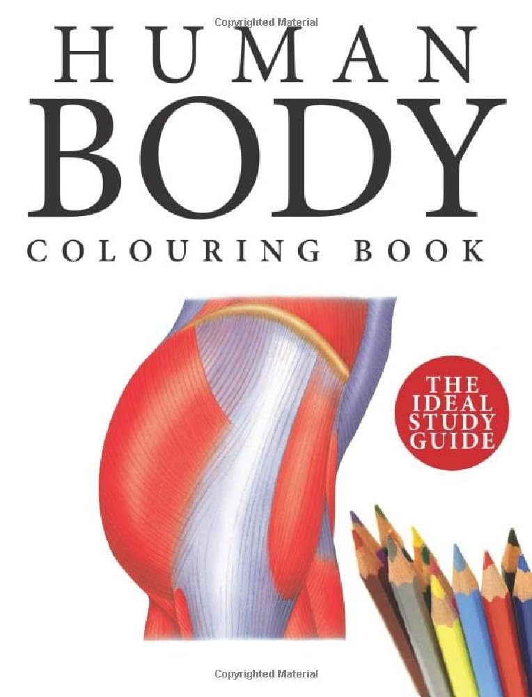 Human Body Colouring Book