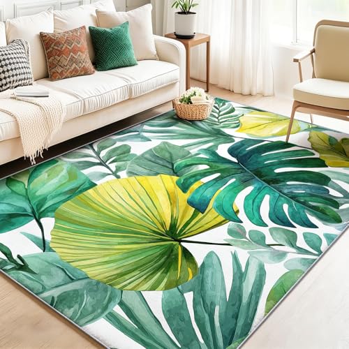 �Q���⃊�r���O���[���p�̃��O 160 x 230 cm - �O���[���̃i�`�������Ȑ��ʉ敗�g���s�J�����[�t���A����\�A����~�ߕt���G���A���O�A�_�炩���V���[�g�p�C���J�[�y�b�g�A�щH�����̂Ȃ��J�[�y�b�g�A�_�C�j���O�A�������ȒP