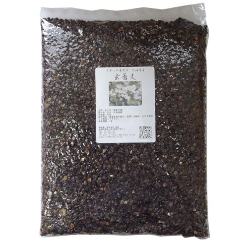 玄蕎麦 そばの種 900g 北海道産 玄そば 厳選大粒 家庭菜園 スプラウト キタワセ種 50坪用