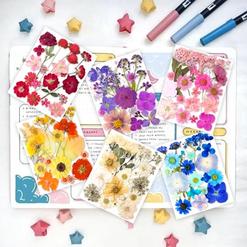 Image of 221PCS Real Nature Dried Pressed Flowers for Resin Craft, Dry Pressing Floral with Butterfly Transparent Stickers Set for DIY Jewelry Making Nail Card Scrapbook Art Eternity Summer