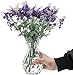 Clear Glass Vase for Flower, Geometric Faceted Design Flower Vase for Office Bedroom Living Dinner or Home Decor 5.7