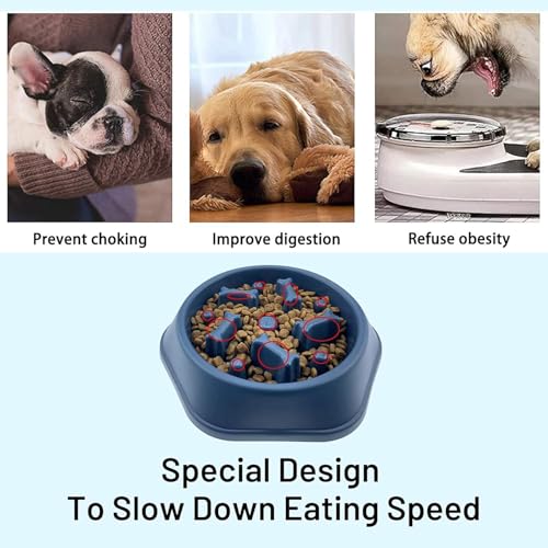 Image of Durable Slow Feeder Bowl for Dog| Anti-Choke Non-Slip Pet Feeding Base and Easy to Clean| Dish Promotes Healthy Eating| Reduces Bloating and Digestive Issues|Interactive Maze Design (Blue)
