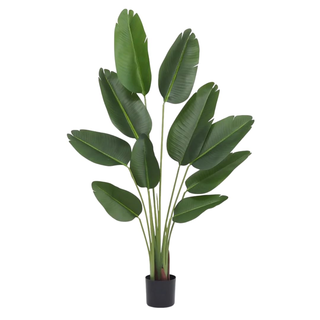 Ligne Déco – Oiseau du Paradis Artificiel 160 cm | Plante Tropicale Artificielle Haut de Gamme Pot Plastique Noir Interieur Imitation Terre | Decoration Maison Élégante | Fausse Plante Interieur Chic