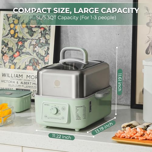 Image of BUYDEEM G52 5.3Qt Electric Food Steamer for Cooking, Cozy Greenish