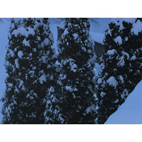 冬の恋人 feat.CUL 冬の恋人 feat.CUL