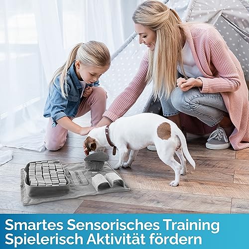 Briliantwerk®️ Schnüffelteppich Hund – Extrem widerstandsfähiges Material - 5 Trainingselemente und 3 Schwierigkeitsstufen – Das Intelligenzspielzeug für Hunde jeder Größe (Grau)
