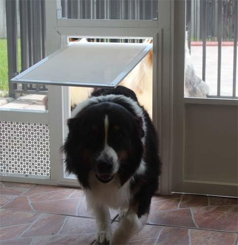 Security Boss Door Mounted Screen Dog Door - for Screened Porches, Lanai Enclosures - Pet Door for Large Dogs and Small Cats Alike - Durable Aluminum Frame - Scratch Resistant Screen