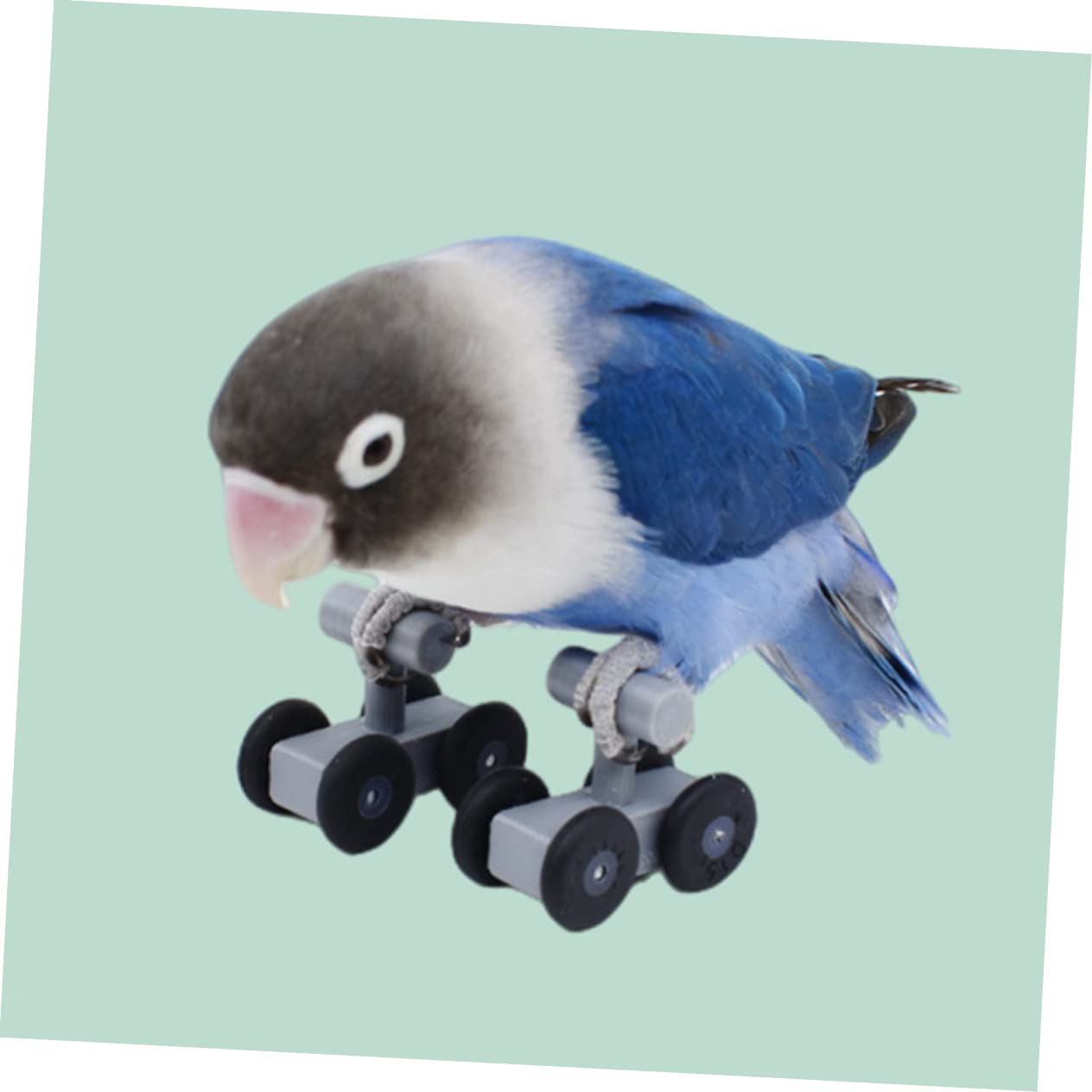 5pares Parrot Skating Toy para Entrenamiento De Aves Juguete Interactivo De Patinaje para Periquitos y Cacatúas Material Seguro y Duradero para Diversión y Estimulación Mental
