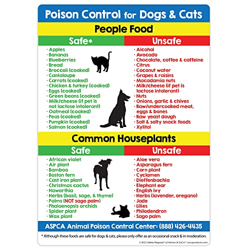 Foods and Plants Toxic to Cats and Dogs Fridge Magnet