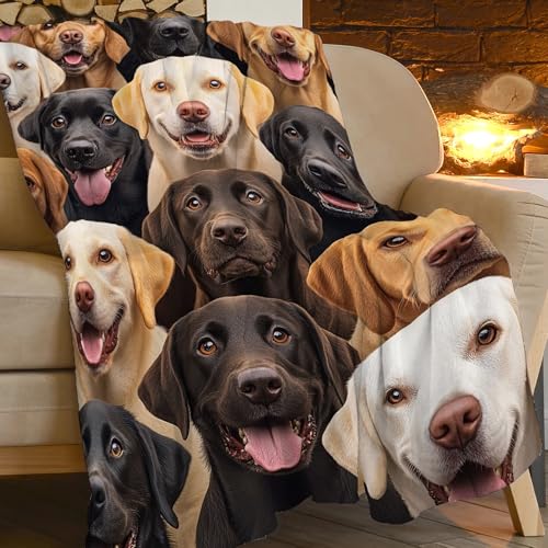 Labrador Blanket for Girls Boys Chocolate Retriever Throw Blankets Soft Cozy Warm Fuzzy Fleece Bedding Flannel Dog Throws Stuffed Animal Gifts for Labrador Lovers Kids Men Women Bedroom Decor 50