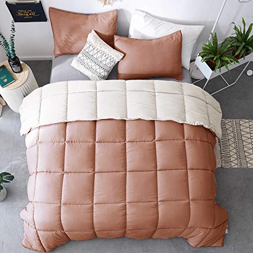 Kasentex All Season Down Alternative Quilted Comforter Set - Reversible Duvet Insert - Machine Washable (Rose/Beige Cream, Twin Set) #TOP7