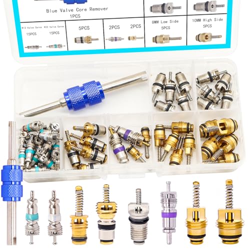 TWTADE 60PCS Car Air Conditioner Valve Core Accessories with Remover Tool Assortment Kit R12 R134a Refrigeration Tire Valve Stem Cores Repair Kit H-021-R12
