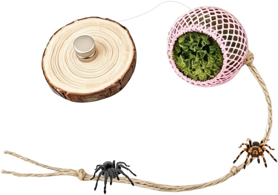 Magnetic Jumping Spider Hide, Spider Enrichment Toy, Strong Magnet Mount, Hollow Metal Grid Cave with Artificial Moss for Terrarium Enclosure Accessories