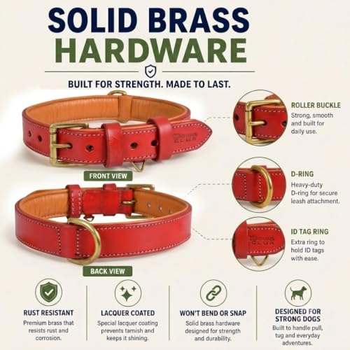 Image of Genuine Leather Dog Collar, Red, Extra Large, Brass Buckle, Padded | 1.5 Inch Wide, Fit Neck Size - 22 inch - 26 inch, Double D Ring, Adjustable, Thick Leather, Heavy Duty, Soft Leather padding