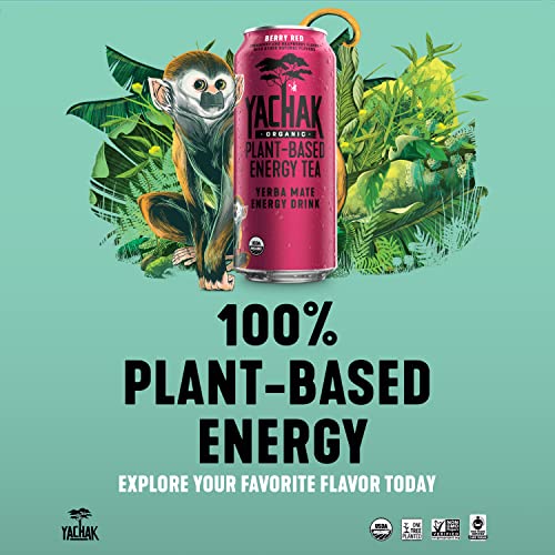Yachak Yerba Mate Drink, Berry Red, 16 Fl Oz Cans, Pack Of 12 (Packaging May Vary) #TOP3