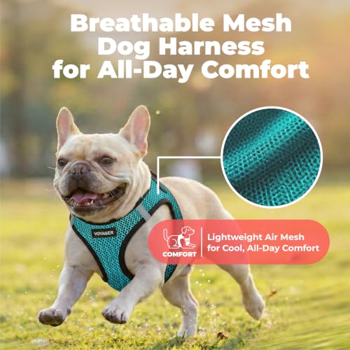 Image of Voyager Step-in Air Dog Vest Harness - Turquoise 2-Tone, Small | 14.5-16 inch in Chest, Reflective Bands, All Weather Breathable Air Mesh, Cats Compatible, Lightweight, Fast Drying