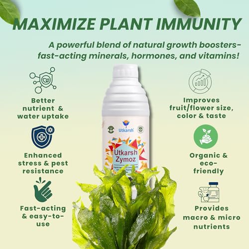 Image of Utkarsh Liquid Seaweed Extract | Organic Plant Growth Promoter for Healthy Plants | Enhances Flowering & Improves Fruit Set | Biostimulant For Home Garden - Zymoz (2 Liter; Pack of 2 of 1 Litre)