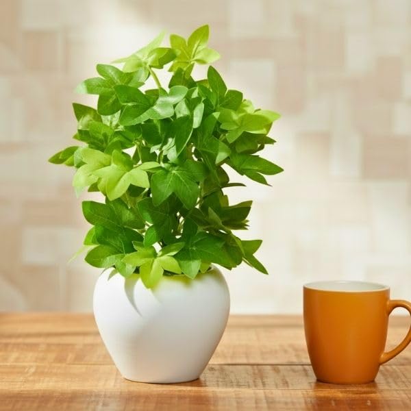 Image of fancymart Artificial Plant Leaves in Apple Pot (30 cm Height) | Small Potted Plant for Office Desk | Home Decor for Living Room | Cafe & Restaurant Table Decoration