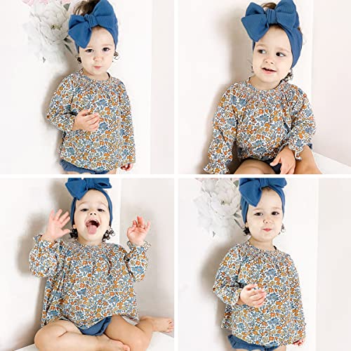 Image of Curipeer Toddler Girls Long Sleeve Shirt, Smocked Blouse, 6M-6Years