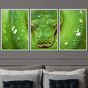 signwin 3 Piece Framed Canvas Wall Art Snakes...