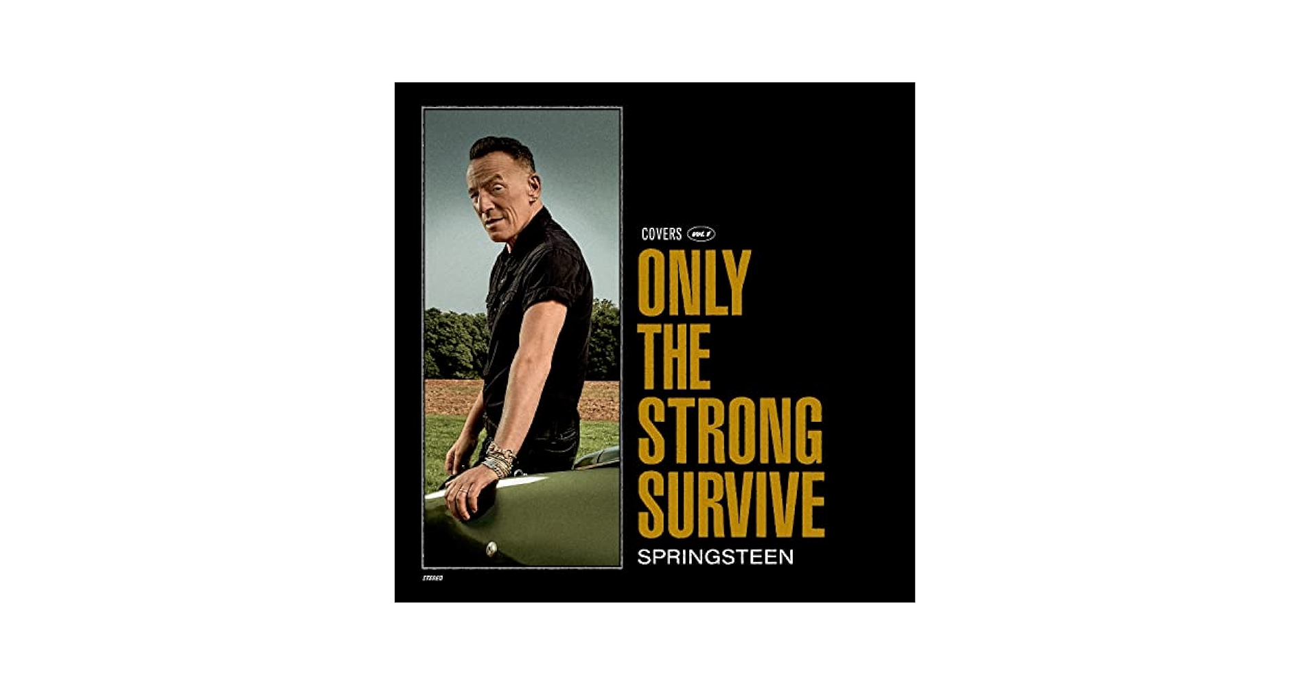 Amazon.com: Only The Strong Survive: CDs & Vinyl