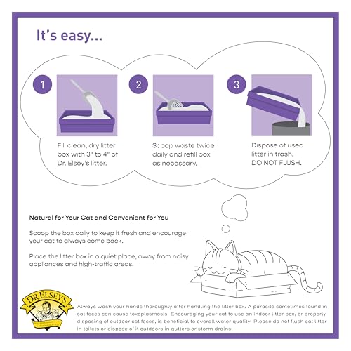 Image of Dr. Elsey's Premium Clumping Cat Litter | Clean Tracks | Low Dust, Low Tracking, Hard Clumping, Superior Odor Control, Unscented & Natural Ingredients