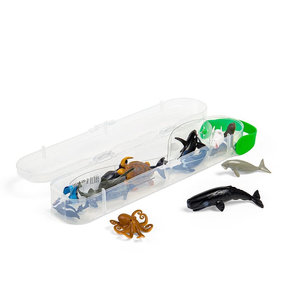 Amazon.co.jp: Mini 12 Pieces 7-11cm Set Marine Animals : Hobbies