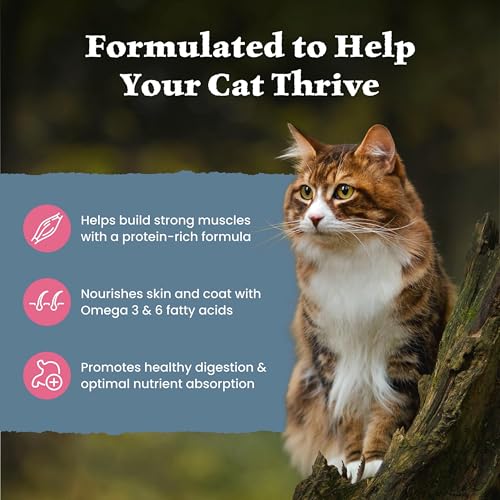 Image of Blue Buffalo Wilderness High Protein Grain Free Dry Food for Adult Cats, 40% Protein, with Salmon, 15 lb. Bag