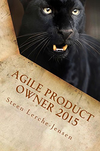 Télécharger Agile Product Owner 2015 (English Edition) Gratuit