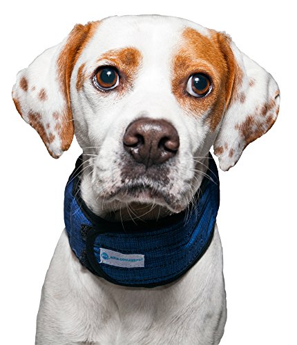 Aqua Coolkeeper Pacific Hundehalsband mit Frischefunktion, blau