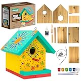 SparkJump Jr Bird House Kit, DIY Cedar Wood Birdhouse for...