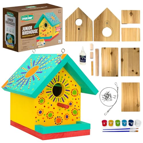 SparkJump Jr Bird House Kit, DIY Cedar Wood Birdhouse for Outdoors with Paint, Fun for Kids & Adults, Bird House Making Kit for All Ages (1-Pack)