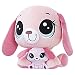 Littlest Pet Shop Holly Hownder and Bitsy Hownder Pairs