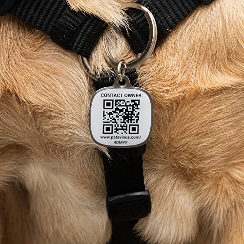 Hund ABSICHERN -1x personalisierbarer Anhänger und App für iOS und Android - QR Code Hundemarke personalisier - Adressanhänger Hunde - Sekundenschnelle Kontaktaufnahme durch Chat-Funktion
