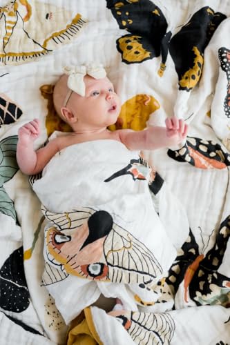 Image of CLEMENTINE KIDS Reversible Quilts (Butterfly Collector)