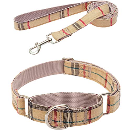 What Is The Best Leash For Training A Dog Top 14 2024 Dog Fluffy