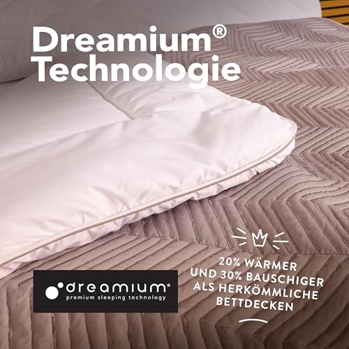John Cotton Night Cloud Bettdecke 155x220 - Premium Klasse Steppdecke für Allergiker | Oeko-Test Zertifiziert Bettdecken | Weiche Microfaser Ganzjahresdecke - Atmungsaktive Schlafdecke | 155 220