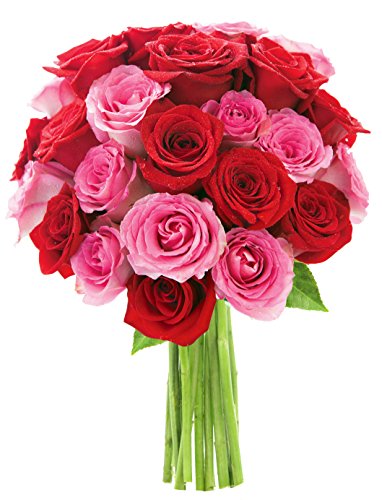 KaBloom-24 Pink&amp;Red Rose Bouquet, Flowers for Valentine, Mother's Day
